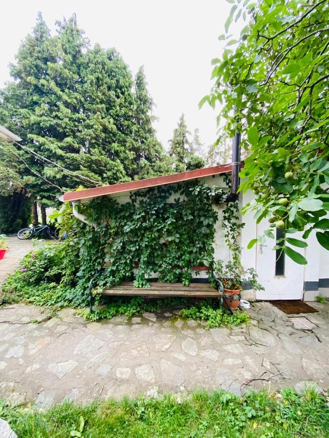 B&B Chardas Bük Exterior foto